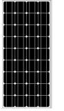 Monocrystalline Module